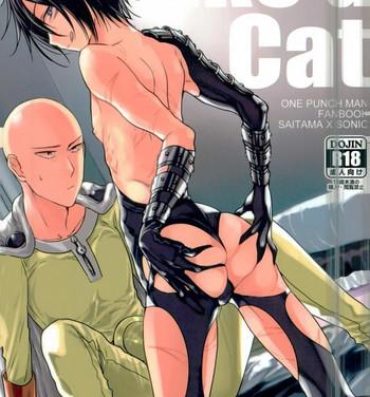 Jacking Like a Cat- One punch man hentai Family Porn