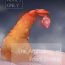 Gay Cumshot Ebi Fry Sou Uke Anthology | The Anthology of Fried Shrimp Really Getting Around Awesome